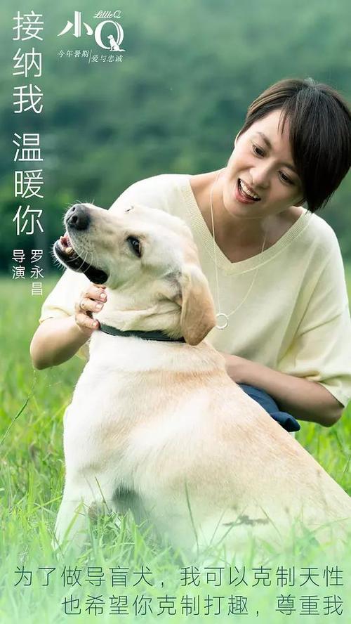 新泽西理工学院 Hotel management diploma